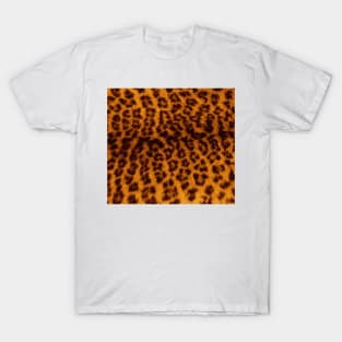 Leopard print T-Shirt